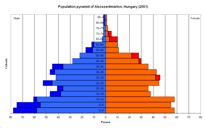 Population_pyramid_of_Alsószentmárton.png
